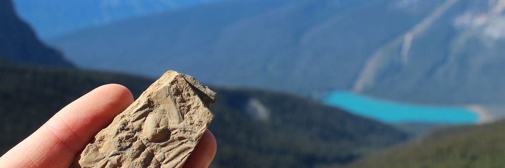 Những chiếc giường hóa thạch Burgess Shale (Burgess Shale Fossil Beds ...