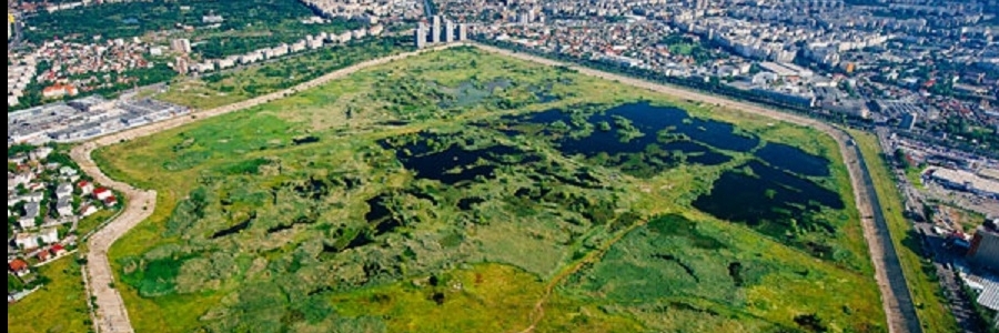 Công Viên Thiên Nhiên Văcărești (Văcărești Nature Park)
