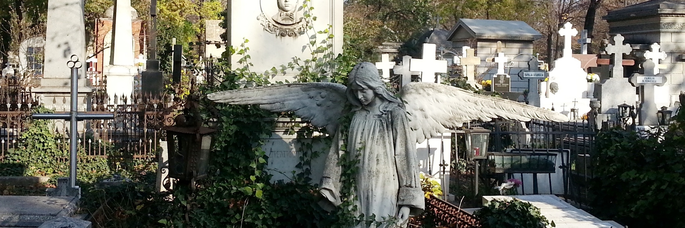Nghĩa trang Bellu (Bellu Cemetery)