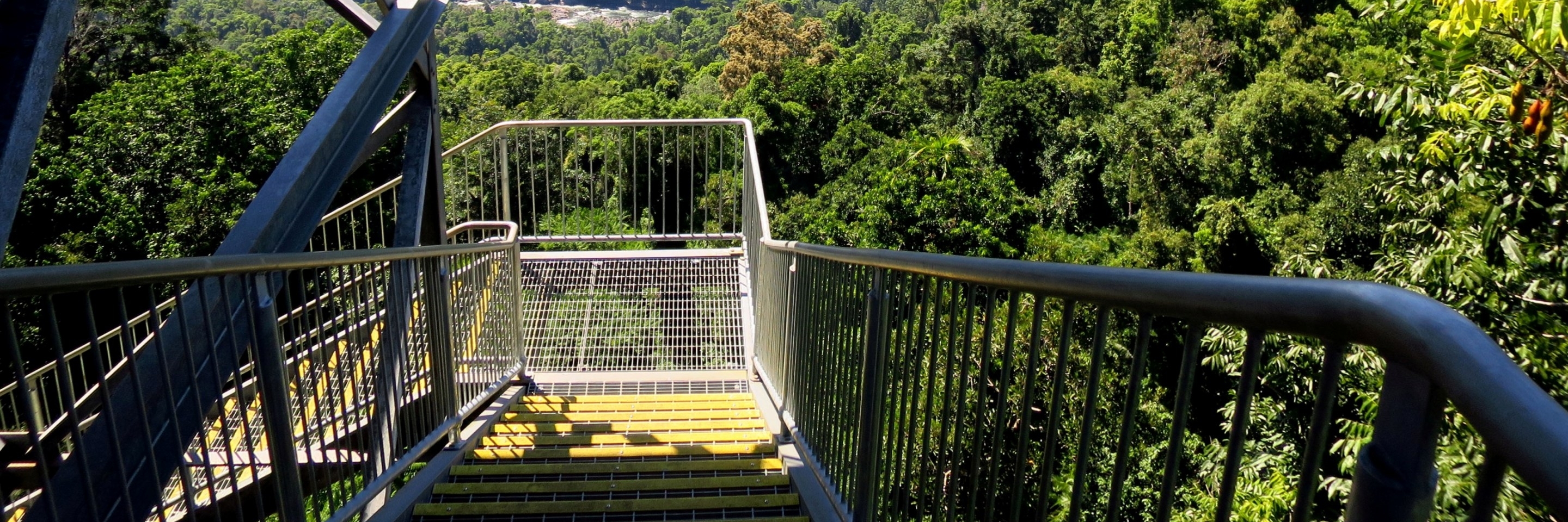 Lối đi bộ trên không nhiệt đới Mamu (Mamu Tropical Skywalk)