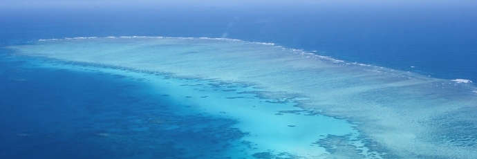 Rạn San Hô Norman ( Norman Reef )