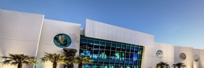Thủy cung CairnS ( Cairns Aquarium)