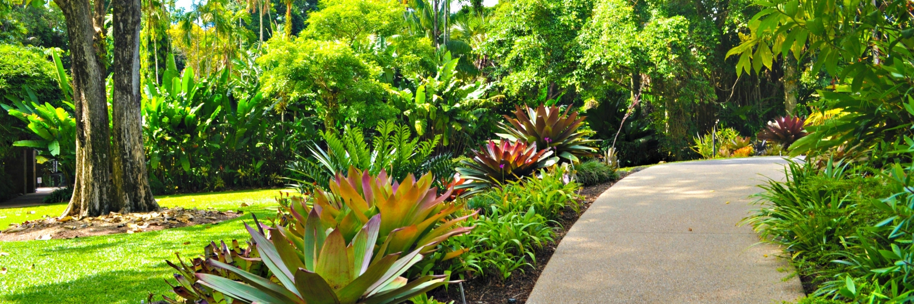 Vườn bách thảo Cairns (Cairns Botanic Gardens)