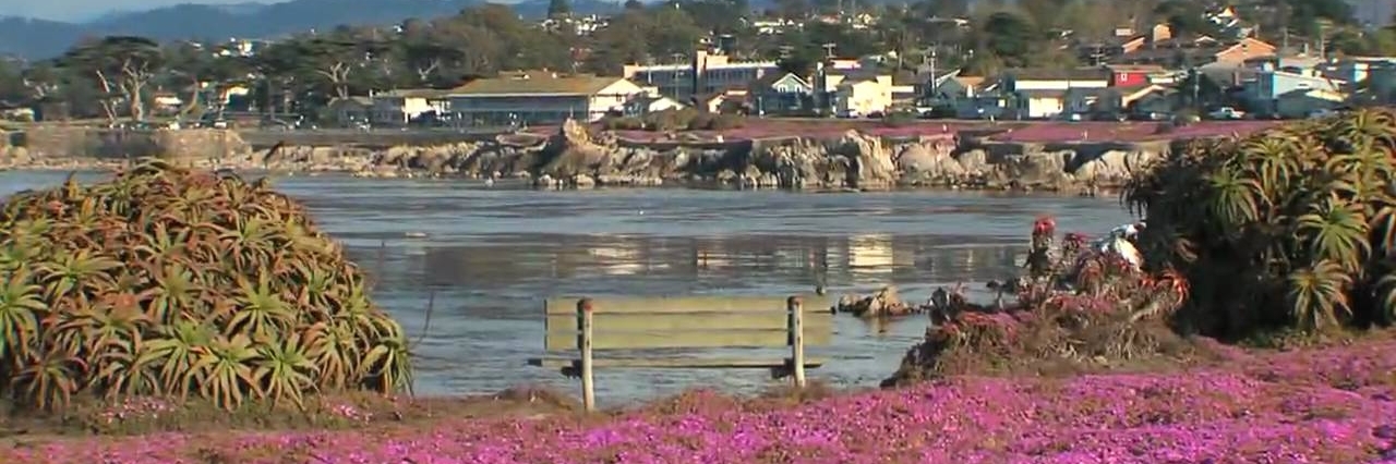 Đại lộ Pacific Grove Oceanview (Pacific Grove Oceanview Boulevard)