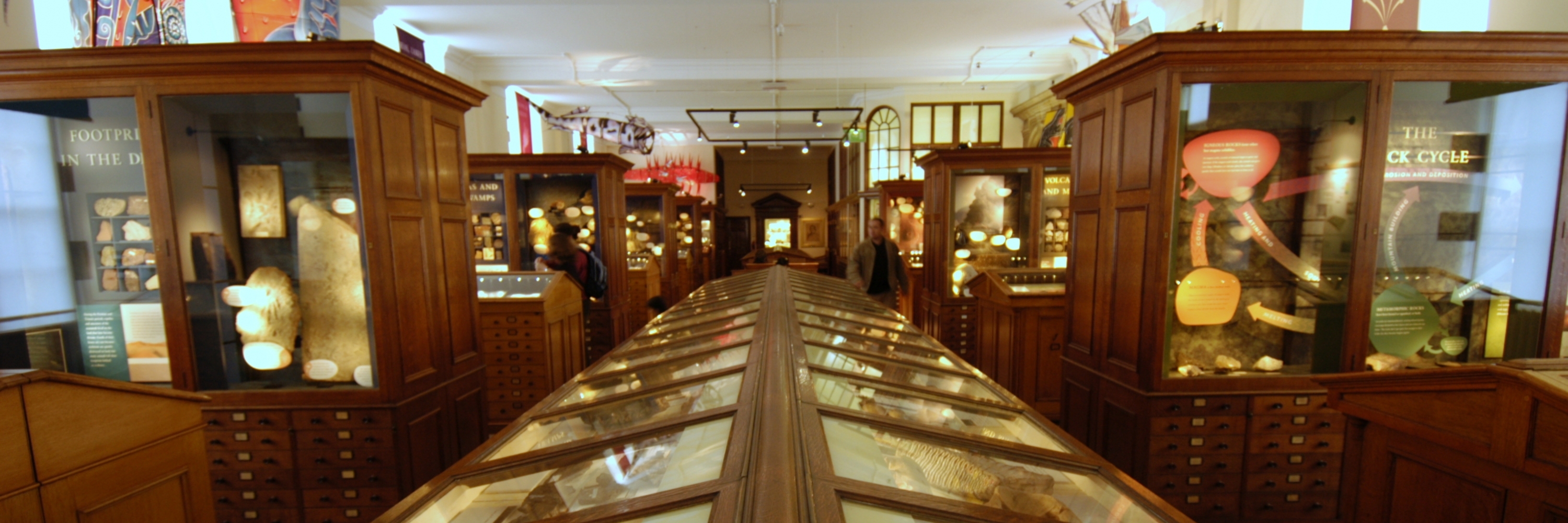 Bảo tàng Khoa học Trái Đất Sedgwick (Sedgwick Earth Science Museum)