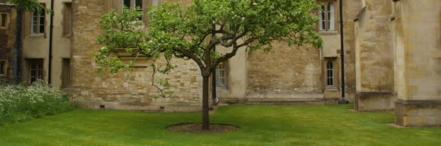 Cây Táo Của Newton (Newtons Apple Tree)
