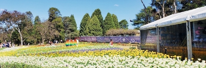 Công Viên Liên Bang ( Commonwealth Park )