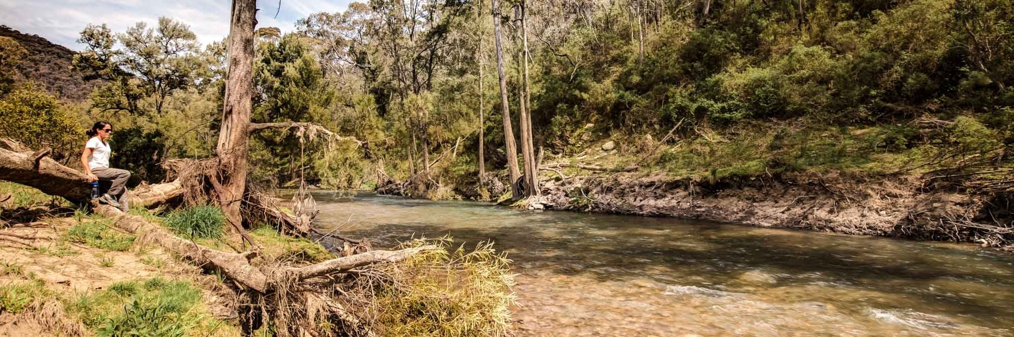 Công viên quốc gia Brindabella (Brindabella National Park)