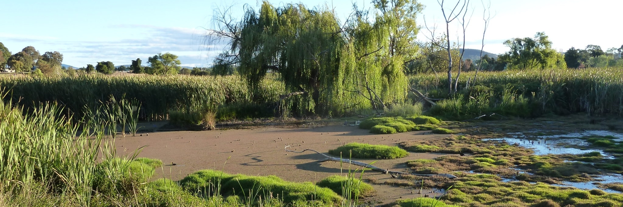 Vùng đất ngập nước Jerrabomberra (Jerrabomberra Wetlands)