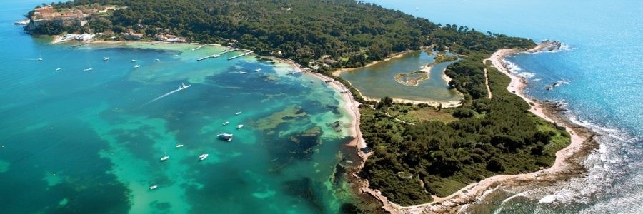 Đảo Marguerite (Marguerite Island)
