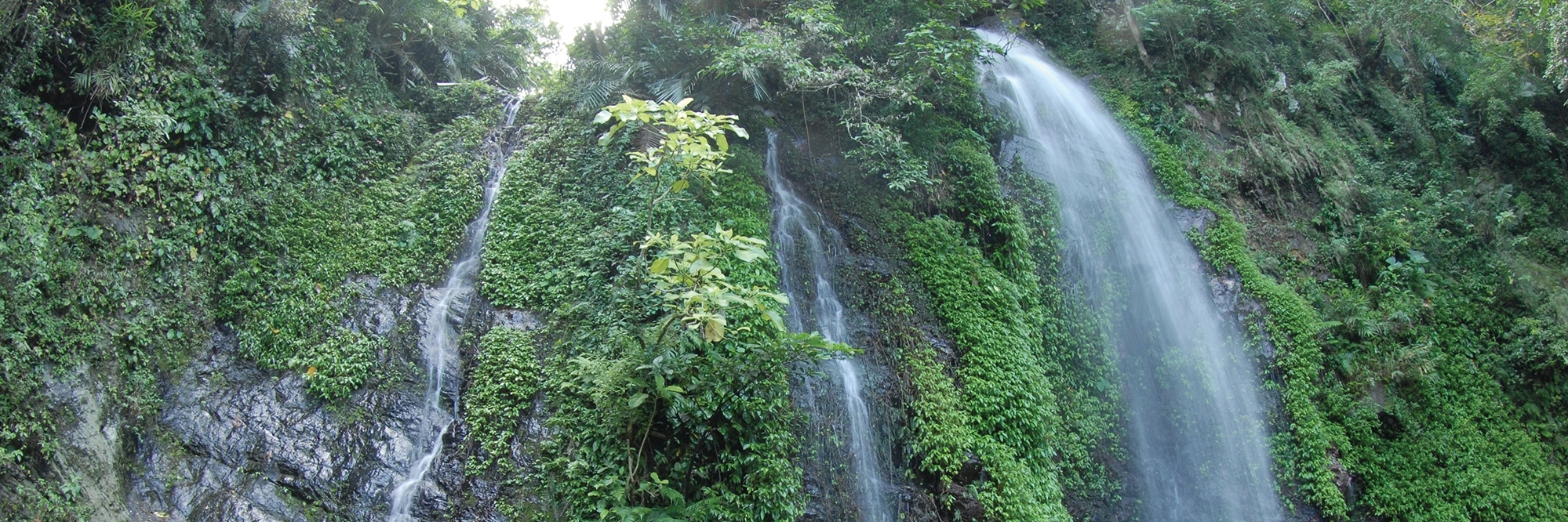 Thung lũng Qingren