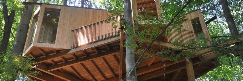 Một ngôi nhà trên cây trong rừng thành phố (City Forest Tree House)