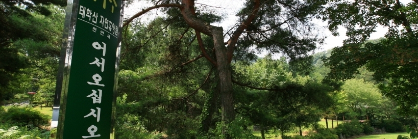 Rừng giải trí tự nhiên Taehaksan (Taehaksan Natural Recreation Forest)