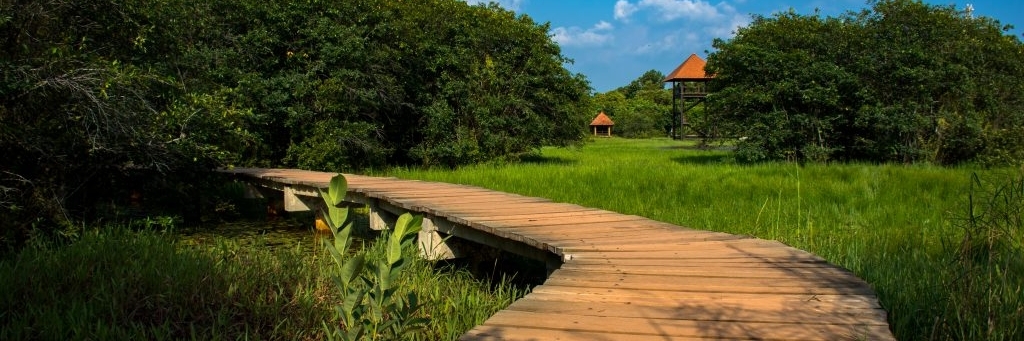 Công viên Beddagana Wetland (Beddagana Wetland Park)