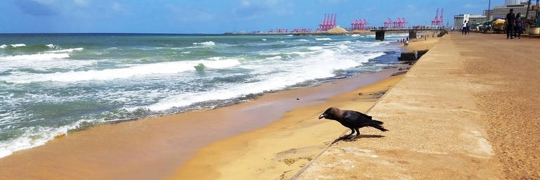 Quảng trường Galle Face Green (Galle Face Green)
