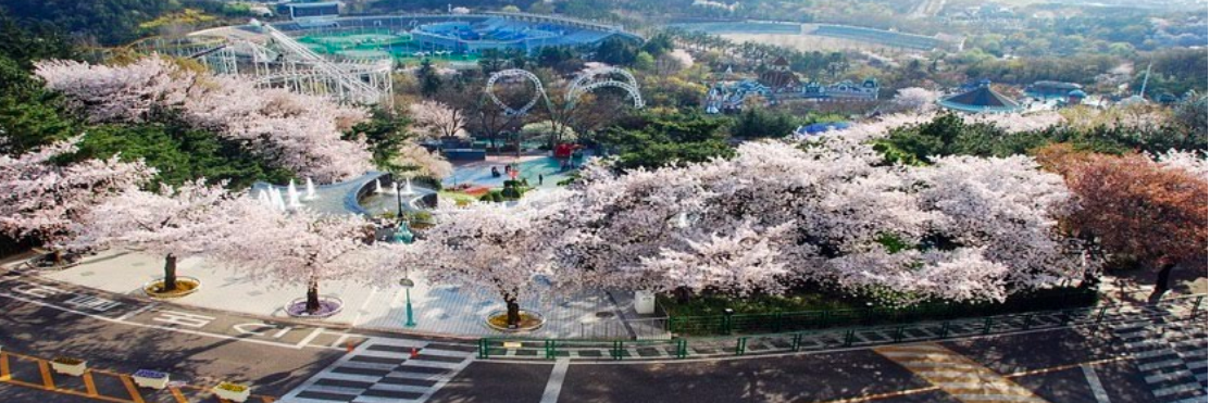 Công Viên Duryu (Duryu Park)
