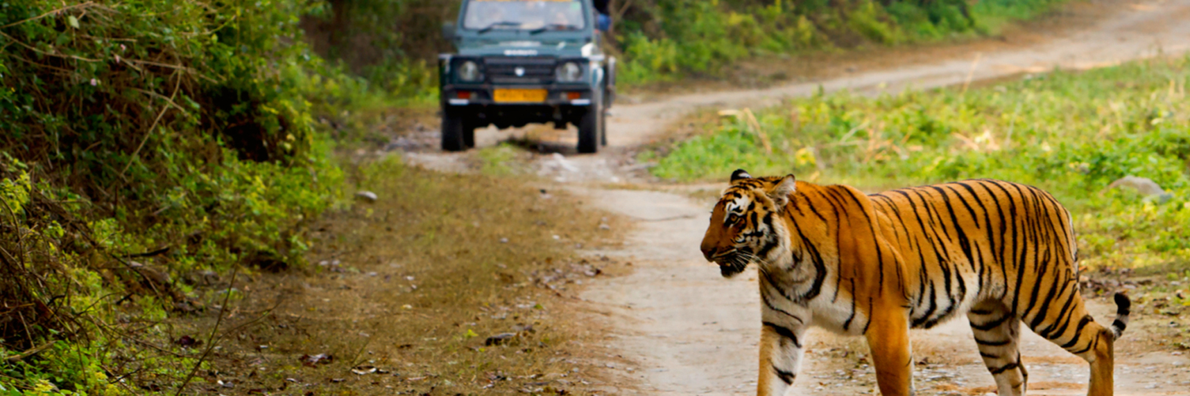 Công viên quốc gia Rajaji (Rajaji National Park)