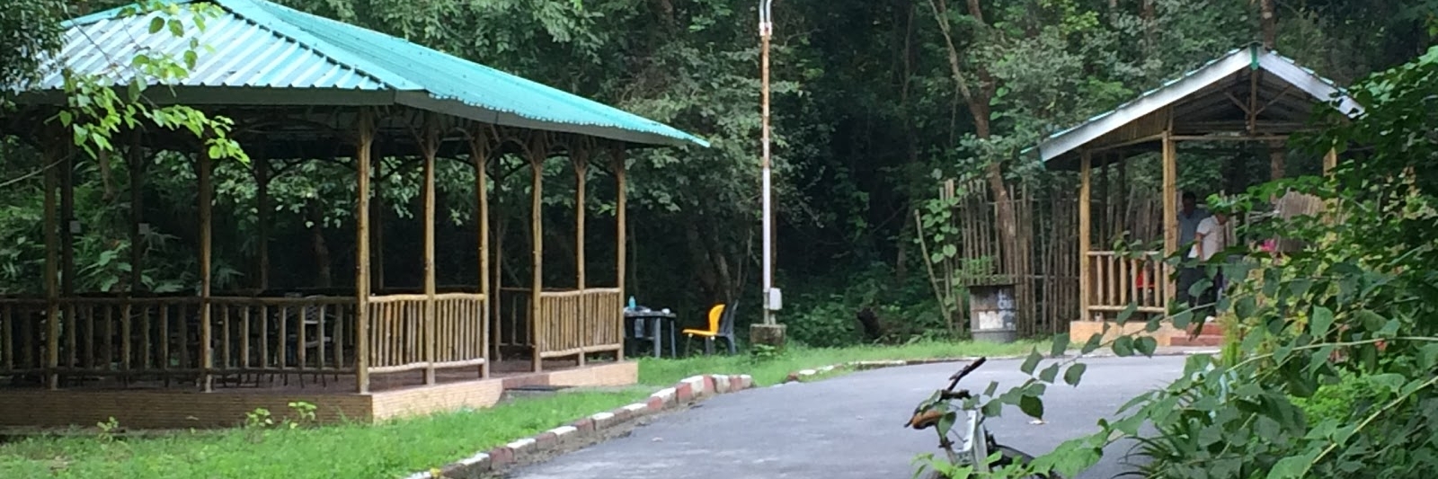 Viện động vật hoang dã Ấn Độ (Wildlife Institute Of India)