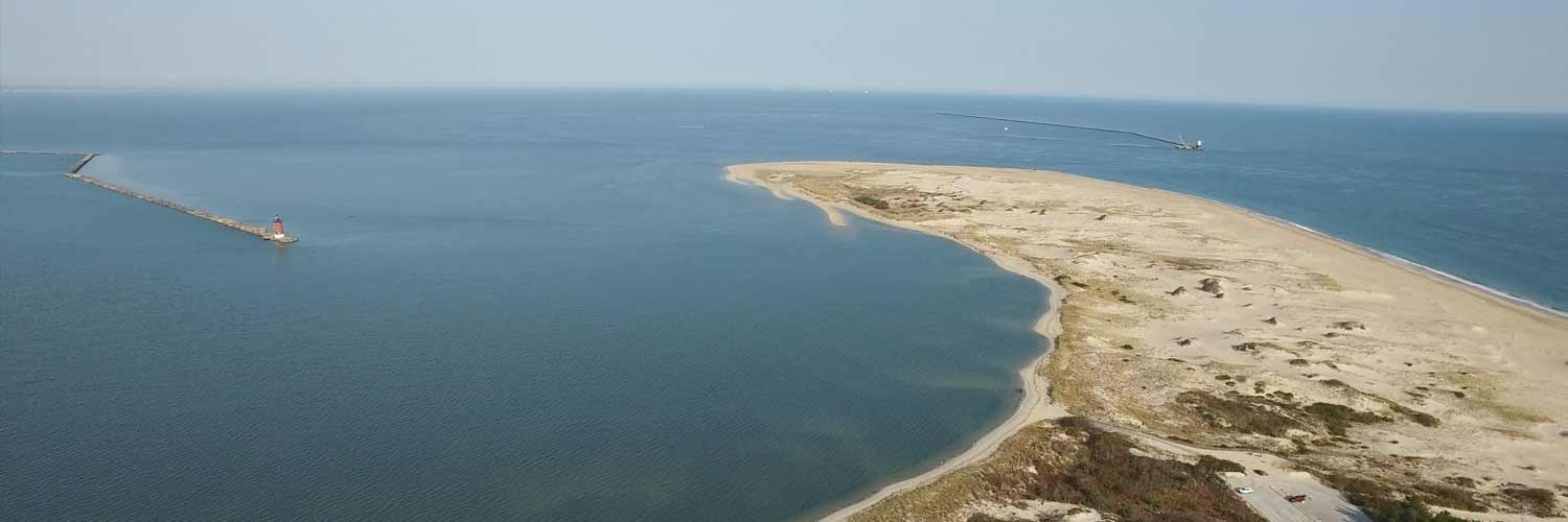 Công viên tiểu bang Cape Henlopen (Cape Henlopen State Park)