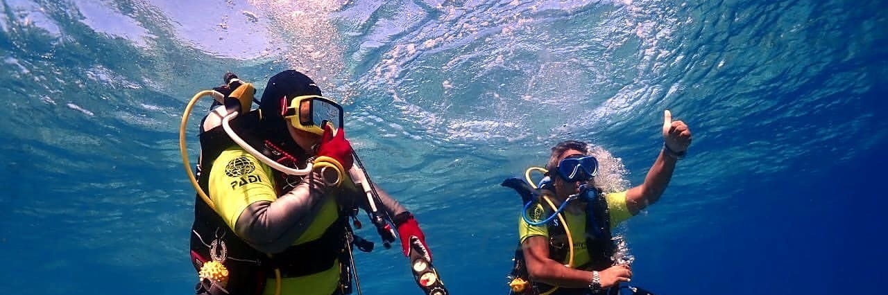 Trung Tâm Family Diver (Family Diver)