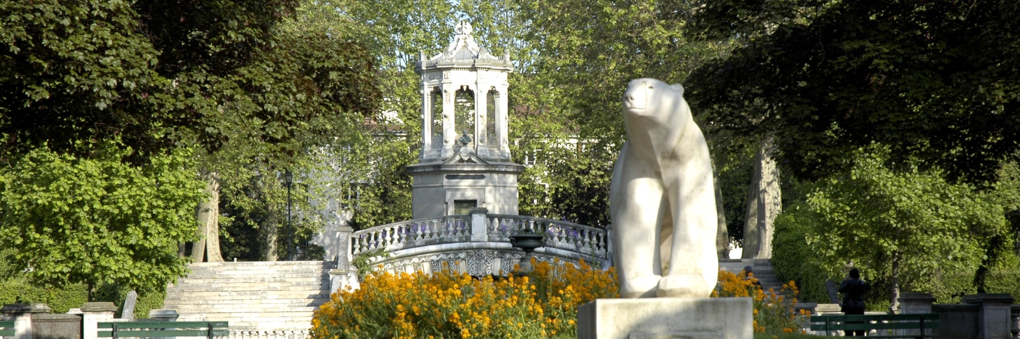 Vườn Darcy (Darcy Garden)