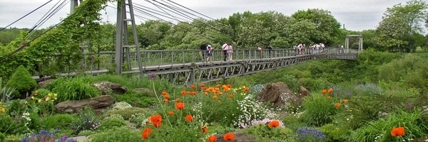 Vườn bách thảo Kryvyi Rih (Kryvyy Rih Botanical Garden)