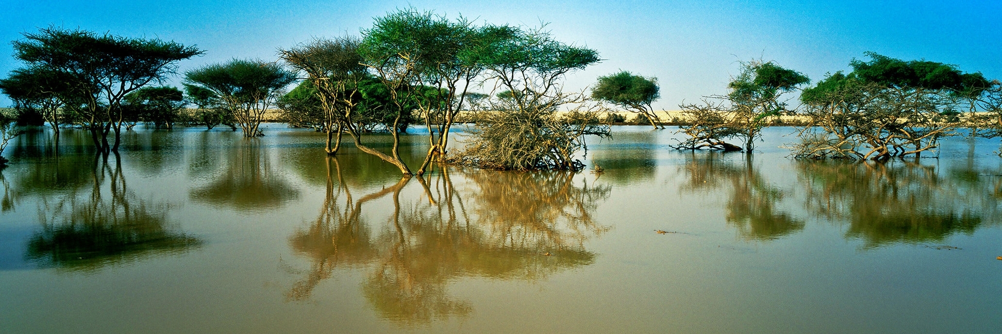 Khu bảo tồn thiên nhiên Al Dakhira (Al Dakhira Natural Reserves)