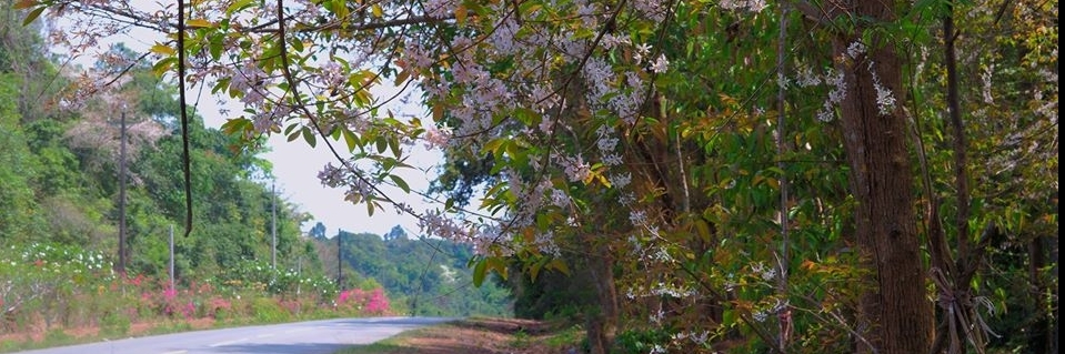 Khu bảo tồn thiên nhiên và văn hóa Đồng Nai (Dong Nai Culture And Nature Reserve) Đồng Nai, Việt Nam