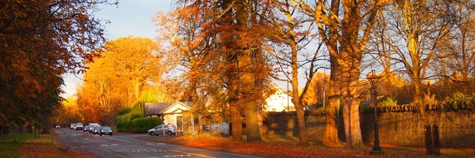 Công viên Phượng Hoàng (Phoenix Park)