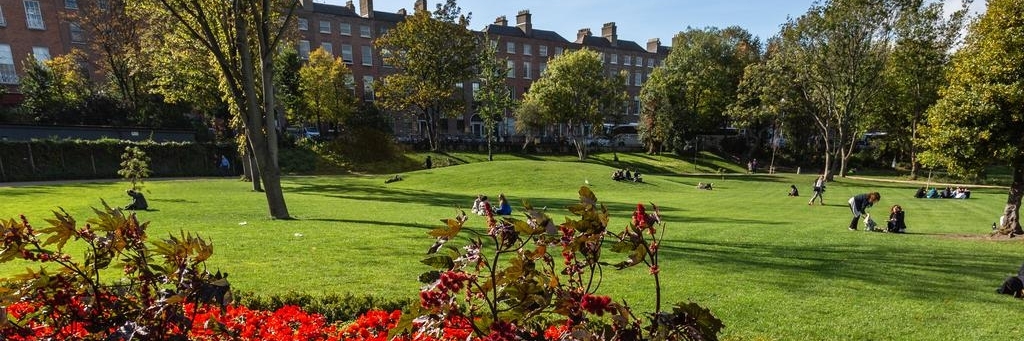 Quảng trường Merrion (Merrion Square)