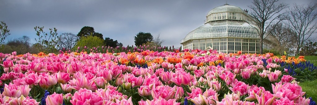 Vườn bách thảo Quốc gia (National Botanic Gardens)
