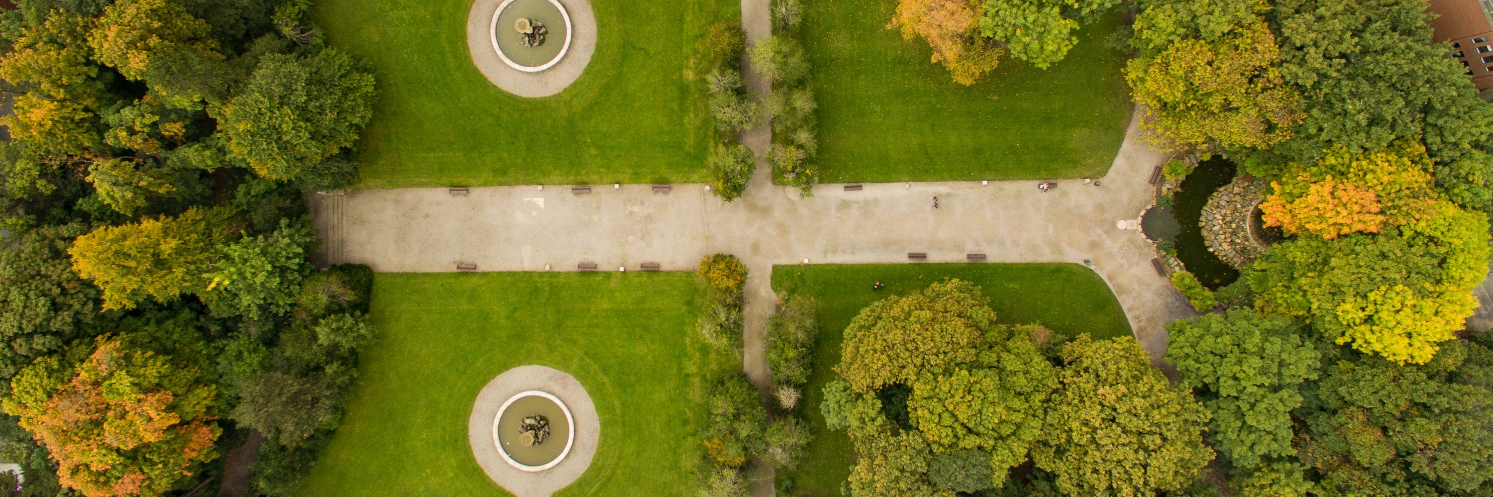 Vườn Iveagh (Iveagh Gardens)