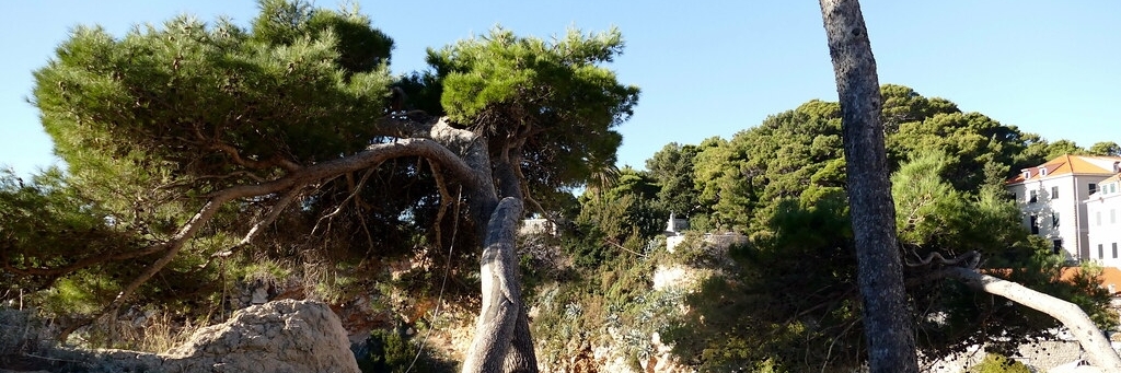 Công viên Gradac (Gradac Park)