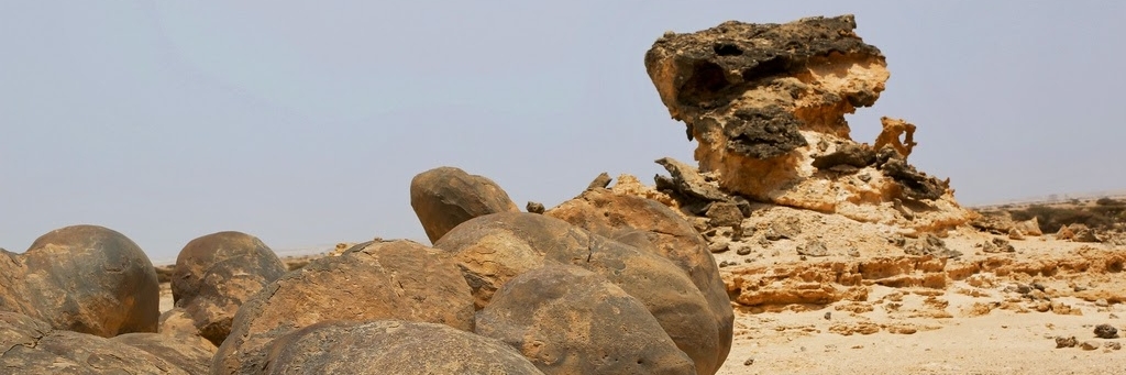 Vườn đá (Rock Garden)