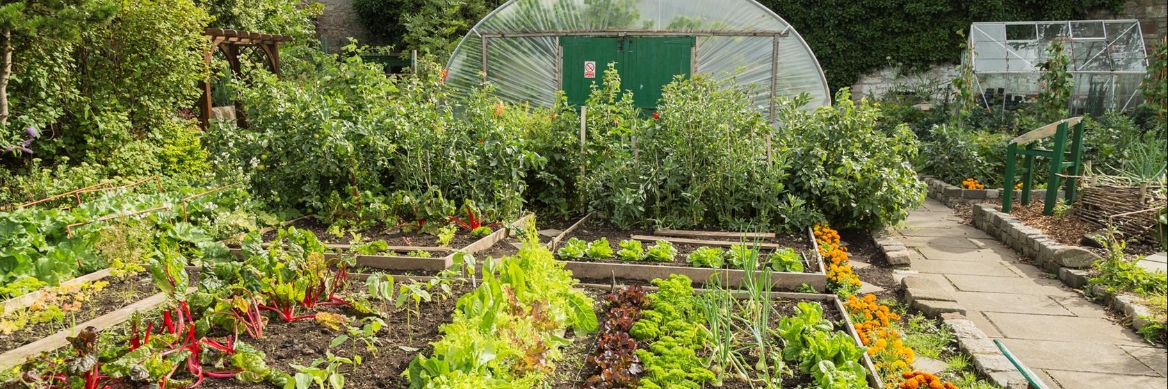 Nông Trại Thành Phố Gorgie (Gorgie City Farm)