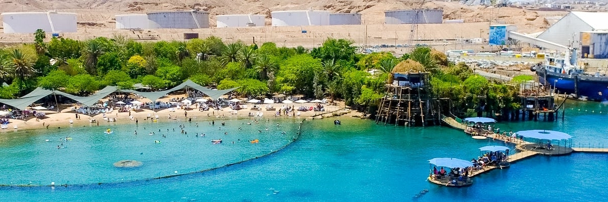 Rạn san hô cá heo (Dolphin Reef)