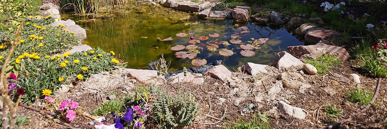Vườn bách thảo Eilat (Eilat Botanical Garden)