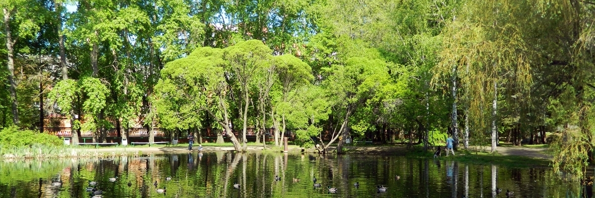 Công viên thành phố Dendropark