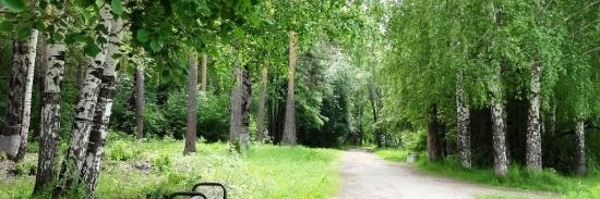 Công viên xanh Grove (Park Green Grove)
