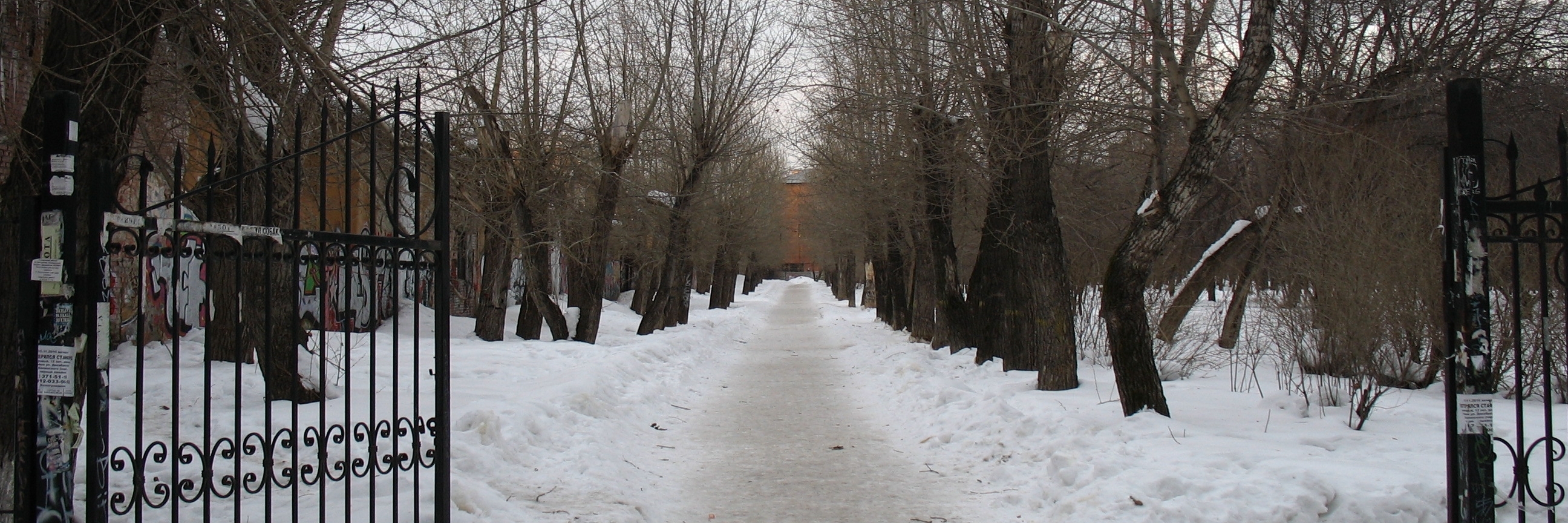Vườn của Pavlik Morozov (Pavlik Morozovs Garden)