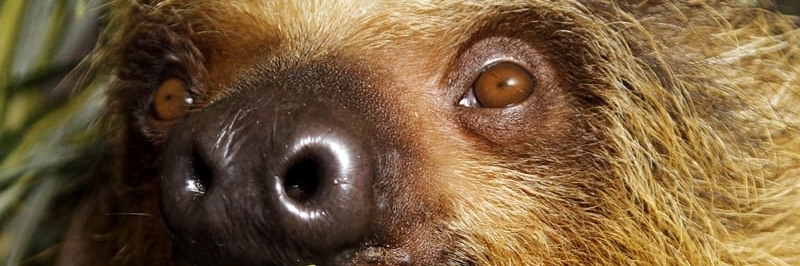Vườn thú Yekaterinburg (Yekaterinburg Zoo)