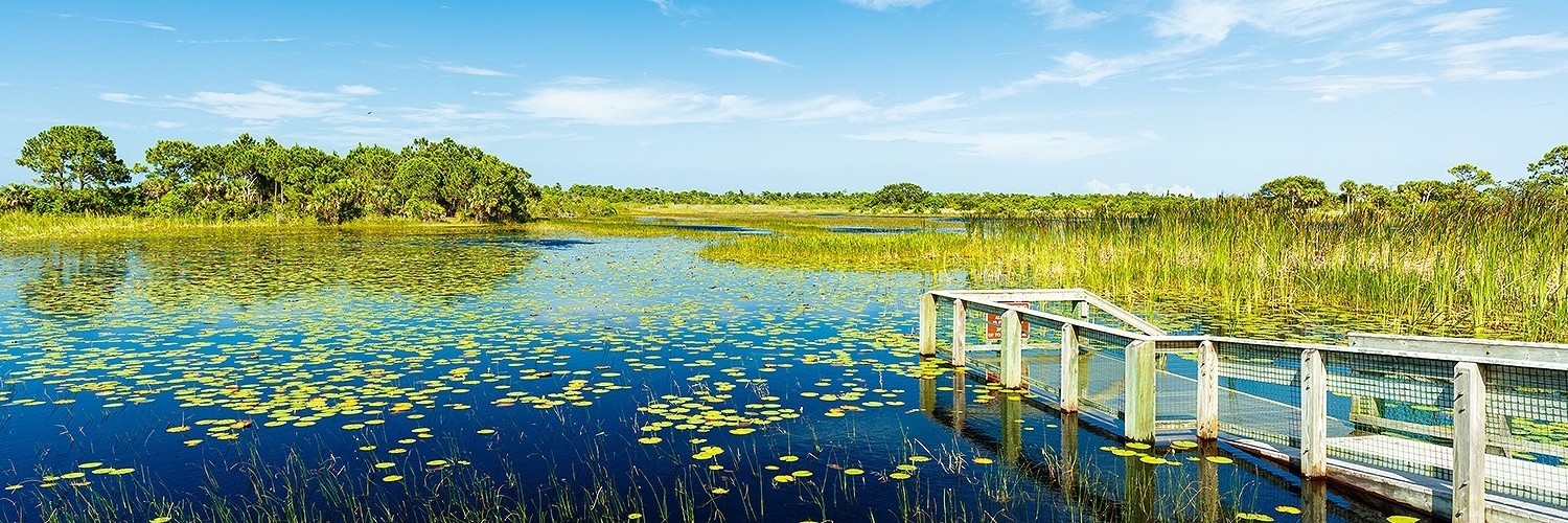 Công viên quốc gia Everglades (Everglades National Park)