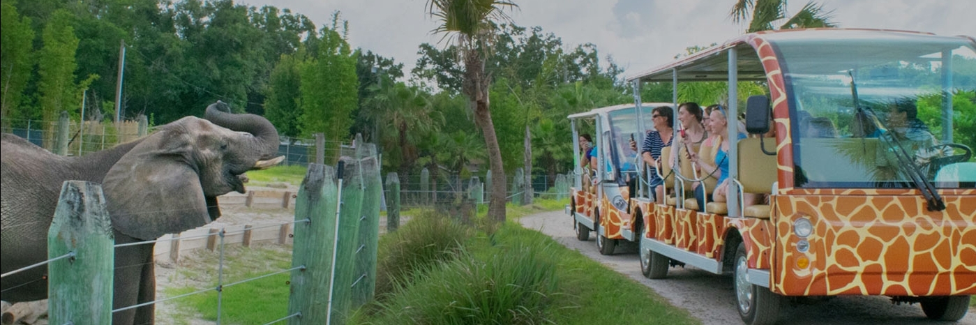 Sở thú Lowry Tampa (Tampas Lowry Park Zoo)