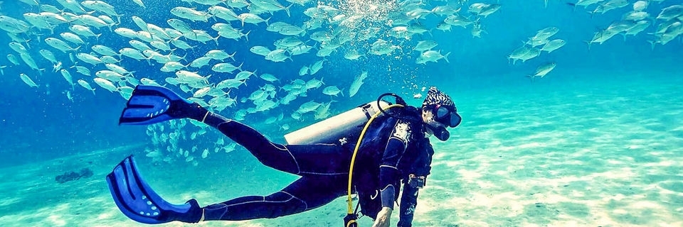 Lặn dưới biển Fujairah(Fujairah Snorkelling)