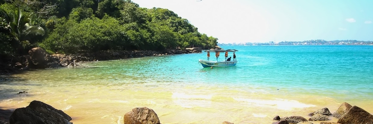 Bãi biển Jungle (Jungle Beach)