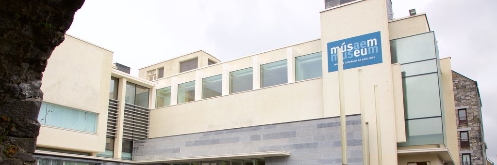 Bảo tàng thành phố Galway (Galway City Museum)