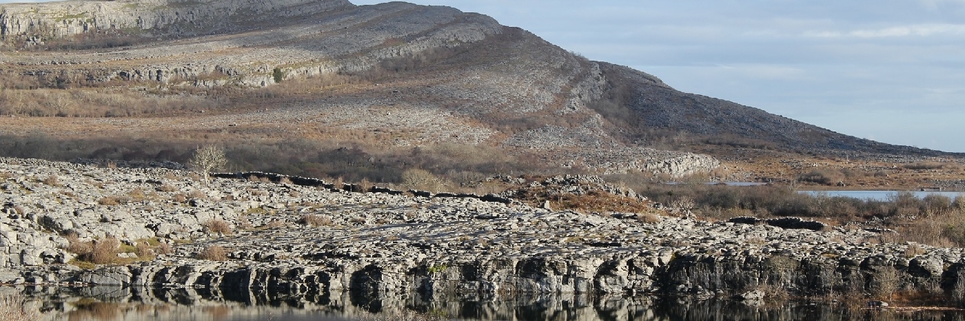 Công viên Quốc gia Burren (Burren National Park)