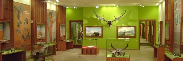 Bảo tàng Thế giới của Kina: Ngôi nhà (De Wereld van Kina: het Huis Museum)