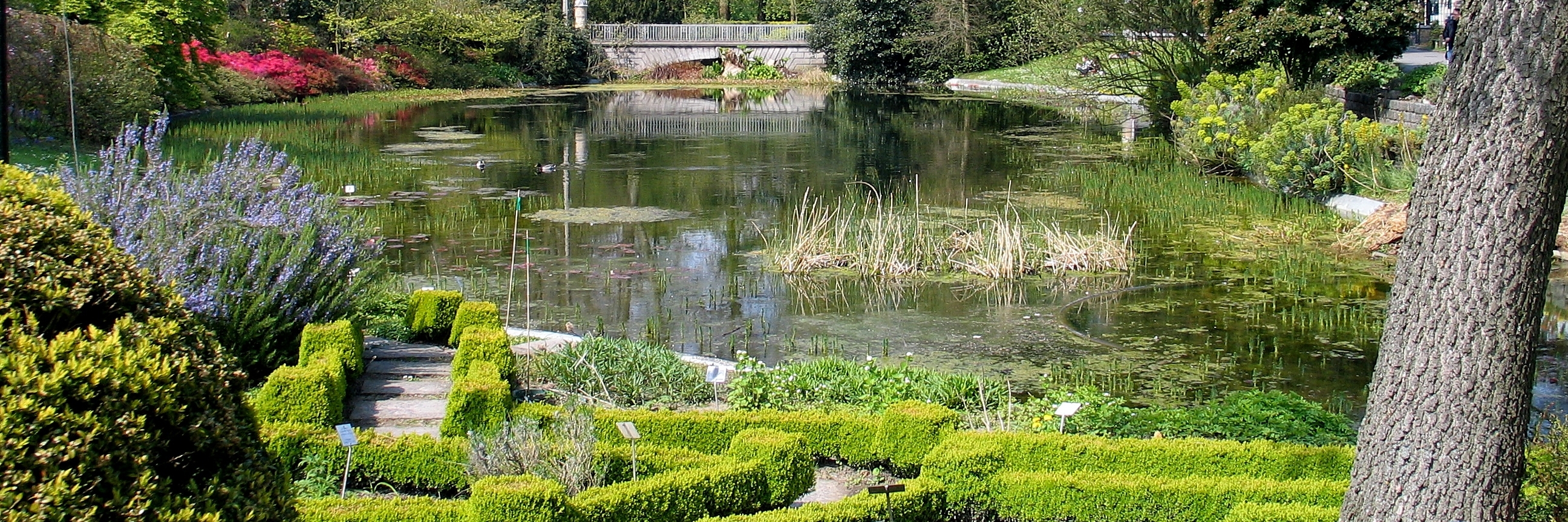Vườn bách thảo Đại học Ghent (Universiteit Gent Botanical Garden)