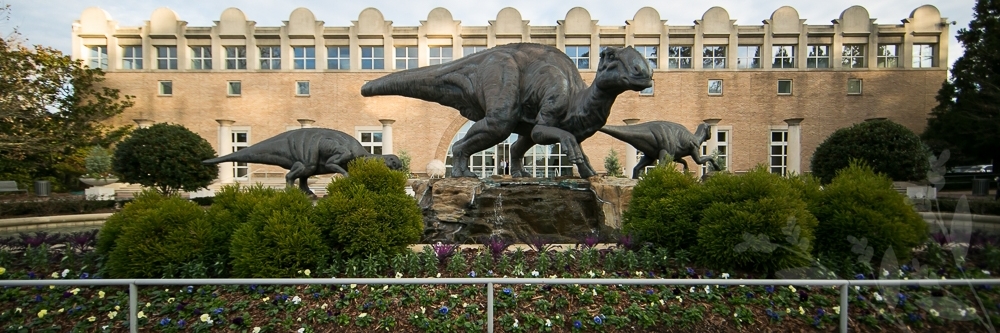 Bảo tàng Lịch sử Tự nhiên Fernbank (Fernbank Museum of Natural History)
